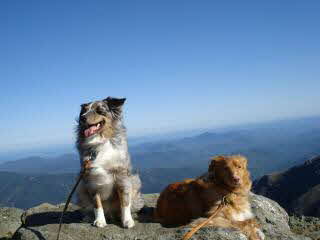 Casey&Maggie - MtWashington-Sep08-sm