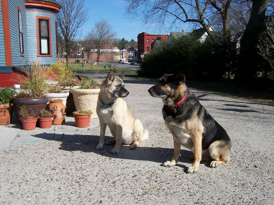 Hana&Jack3-Apr2006